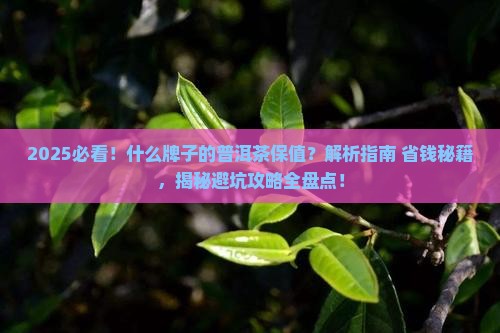 什么牌子的普洱茶保值