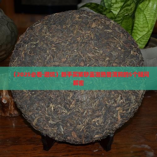 泡熟普洱茶的紫沙壶