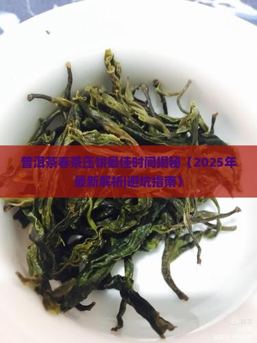 普洱茶春茶压饼时间