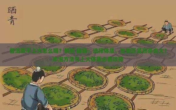 普洱茶不上火怎么喝