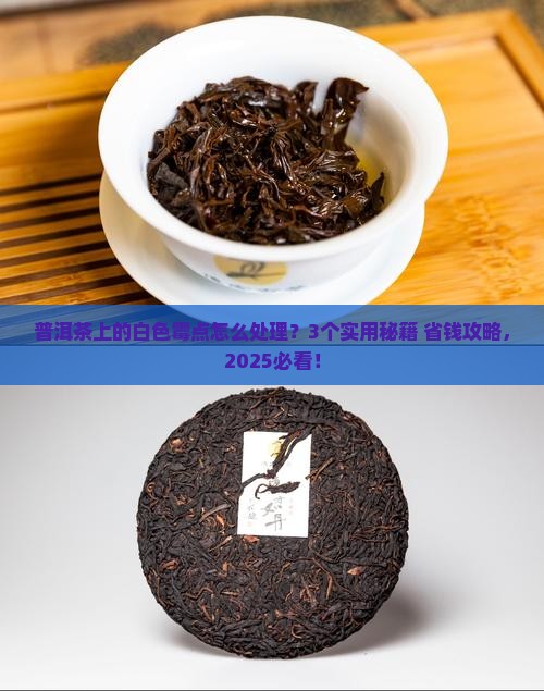 普洱茶上的白色霉点