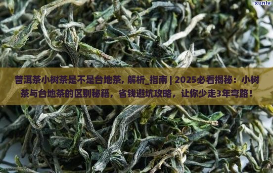 普洱茶小树茶是不是台地茶