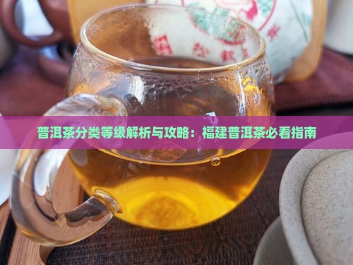 福建普洱茶分类表及特点