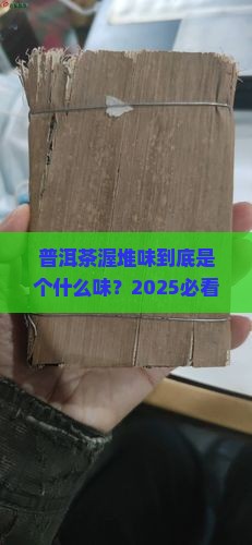 普洱茶渥堆味是什么味