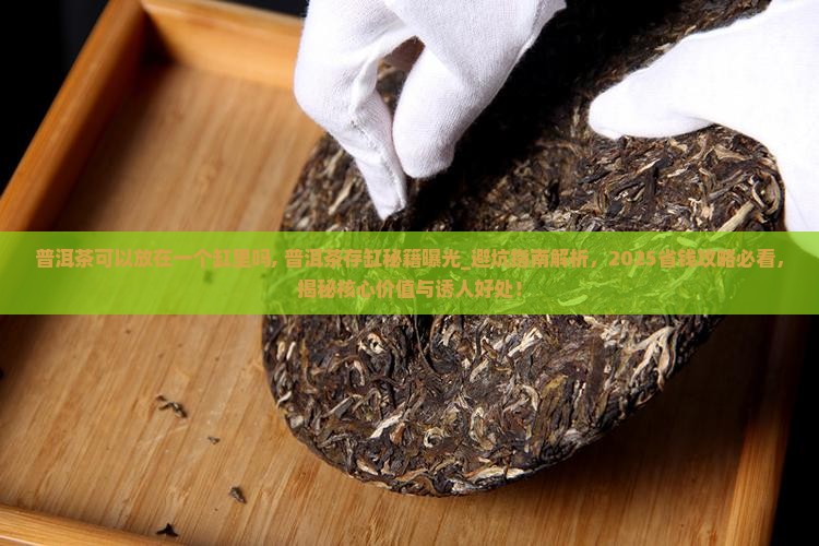 普洱茶可以放在一个缸里吗