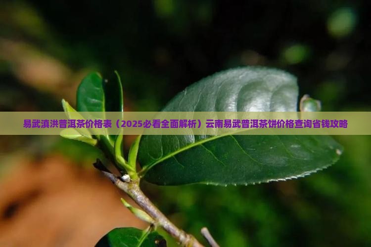 易武滇洪普洱茶价格表