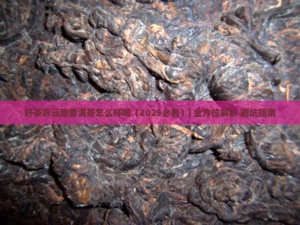 好茶农云南普洱茶怎么样喝