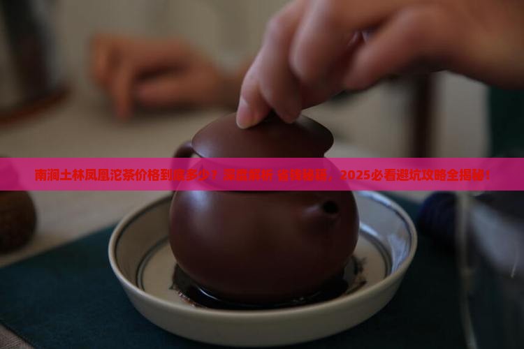南涧土林凤凰沱茶价格