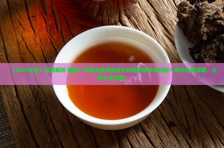 布朗山普洱茶生长环境