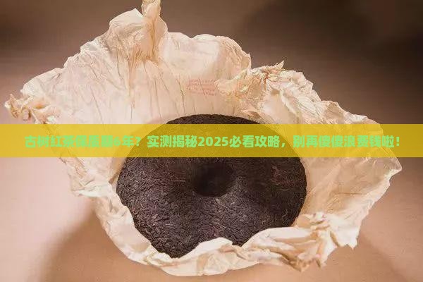 古树红茶保质期6年
