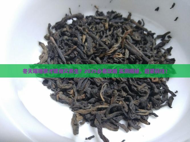 哪种茶适合冬天喝