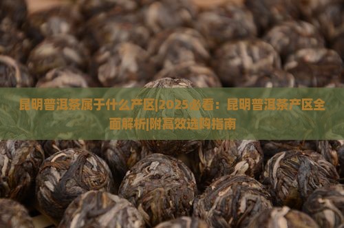昆明普洱茶属于什么产区
