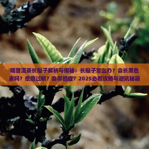 喝普洱茶长瘤子