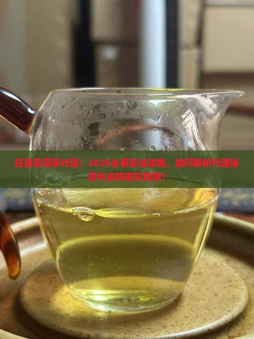 任县普洱茶代理