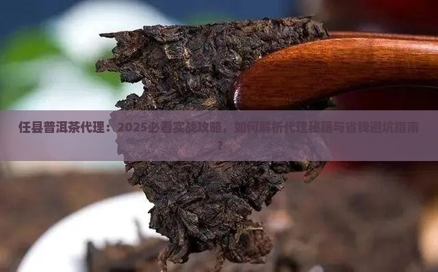 任县普洱茶代理