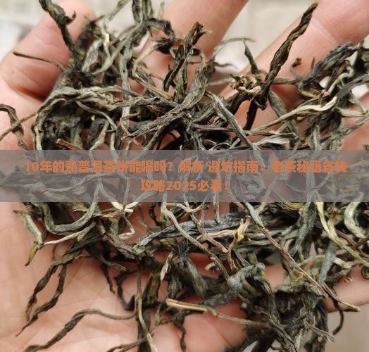 10年的熟普洱茶饼能喝吗