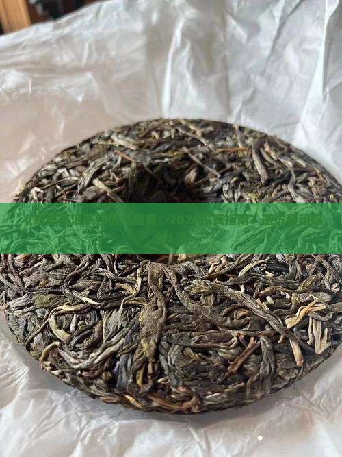 东莞普洱茶的行情如何看