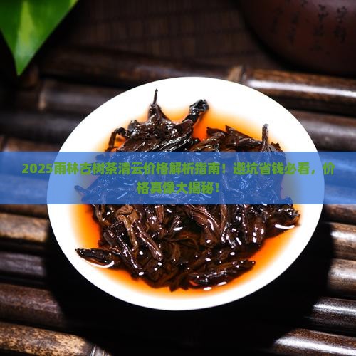 雨林古树茶清云价格