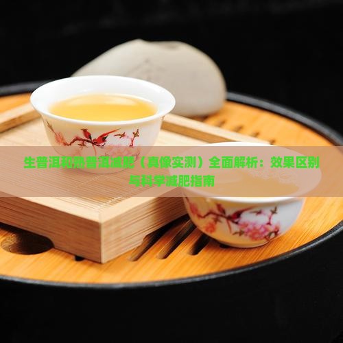 生普洱和熟普洱减肥