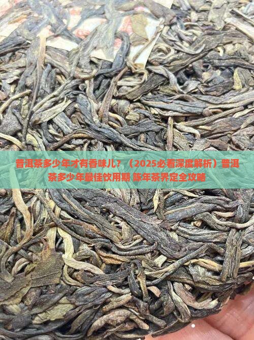 普洱茶多少年才有香味儿
