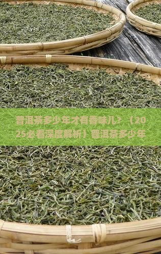 普洱茶多少年才有香味儿