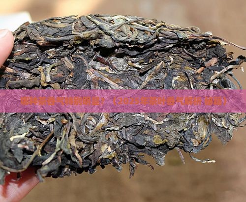 什么茶香气特别明显