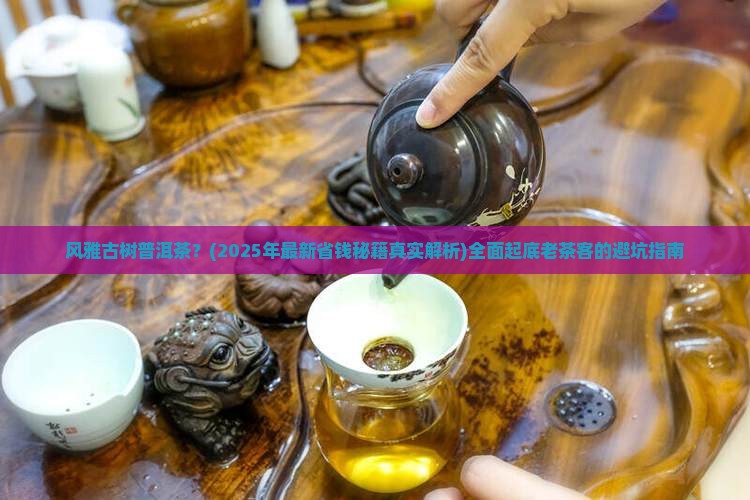 风雅古树普洱茶