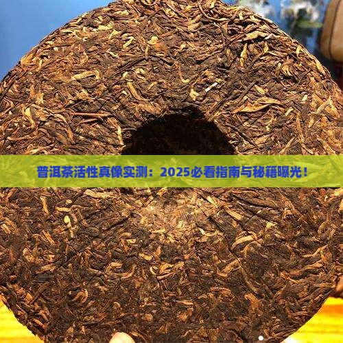 普洱茶活性概述