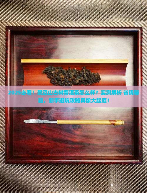 景迈山古树普洱茶怎么样