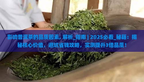 影响普洱茶的品质因素