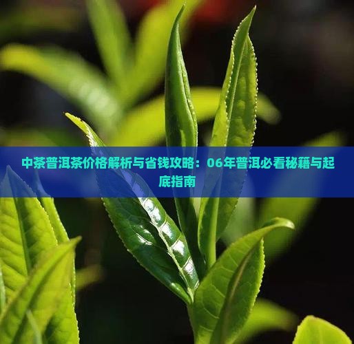 06年中茶2821价格