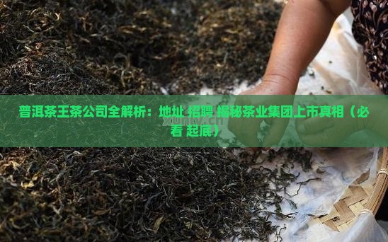 普洱茶王茶公司