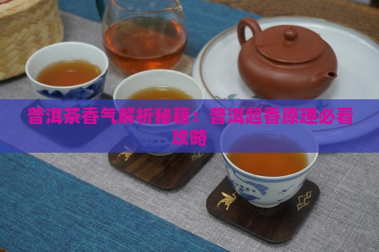 普洱茶起香原理