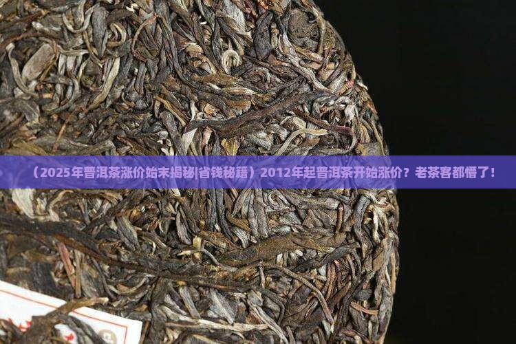 普洱茶哪年开始涨价