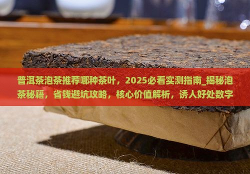 普洱茶泡茶推荐哪种茶叶 普洱茶泡茶推荐哪种茶叶