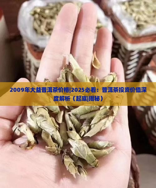 2009年大益普洱茶价格