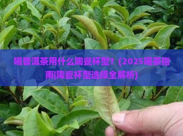 喝普洱茶用什么陶瓷杯型