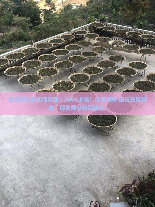 武汉普洱茶如何代理 武汉普洱茶如何代理