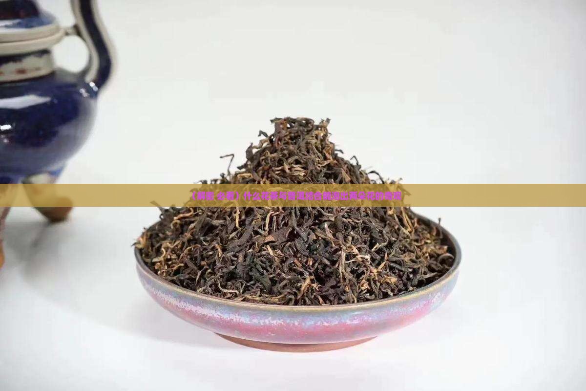 什么茶是圆的泡出两朵花