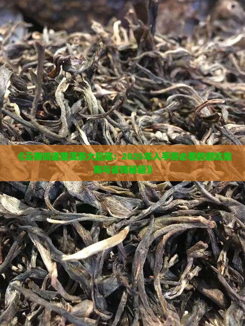 云南训道普洱茶
