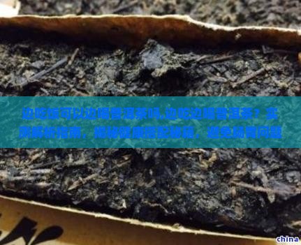 边吃饭可以边喝普洱茶吗