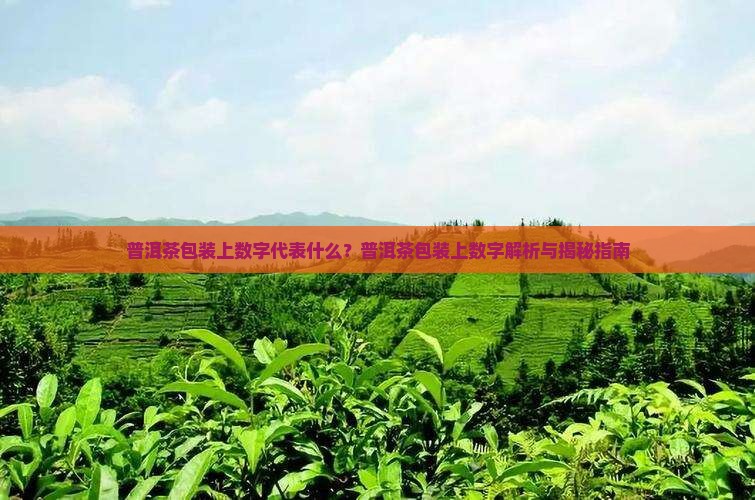 普洱茶包装上数字代表什么