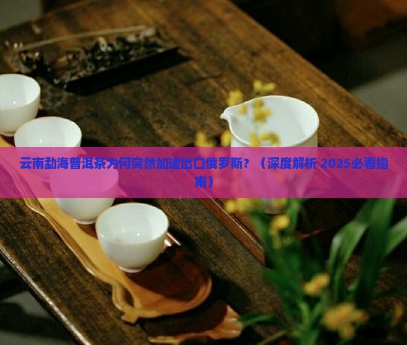 云南勐海普洱茶出口俄罗斯