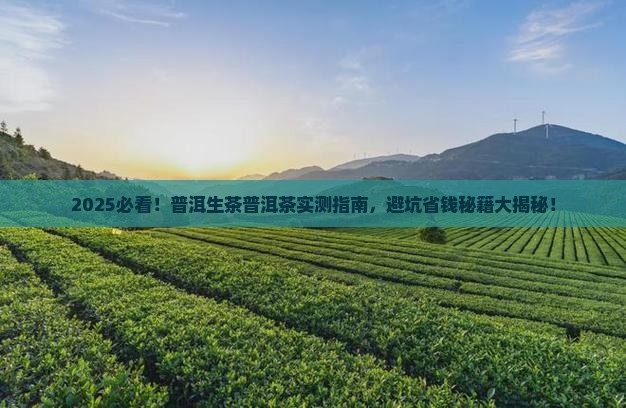 普洱生茶普洱茶