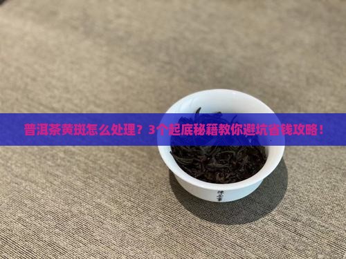 普洱茶内有黄斑