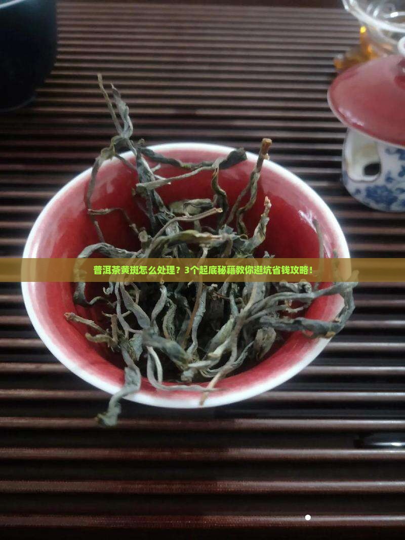 普洱茶内有黄斑