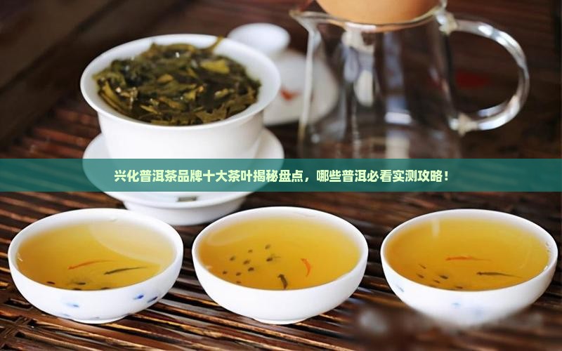 兴化普洱茶品牌有哪些茶叶