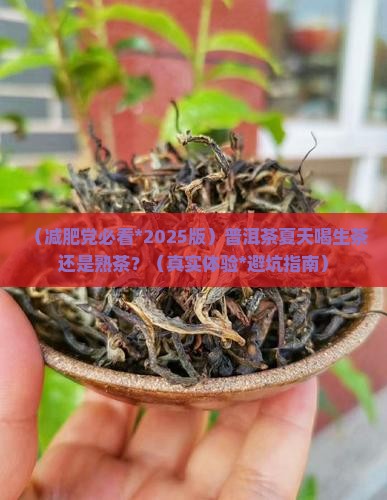 普洱茶夏天喝生茶还是熟茶减肥