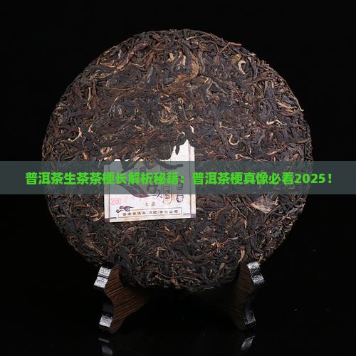 普洱茶生茶茶梗长