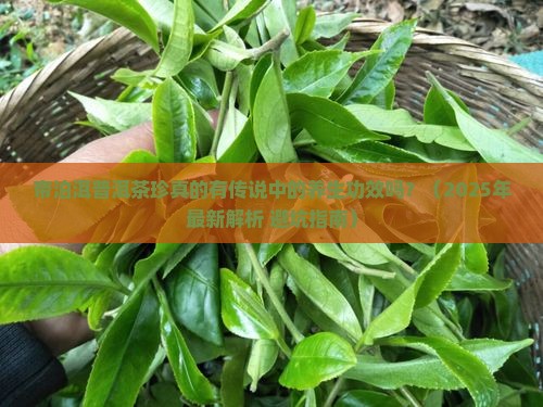 帝泊洱普洱茶珍有什么功效